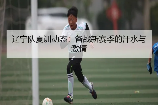 辽宁队夏训动态：备战新赛季的汗水与激情